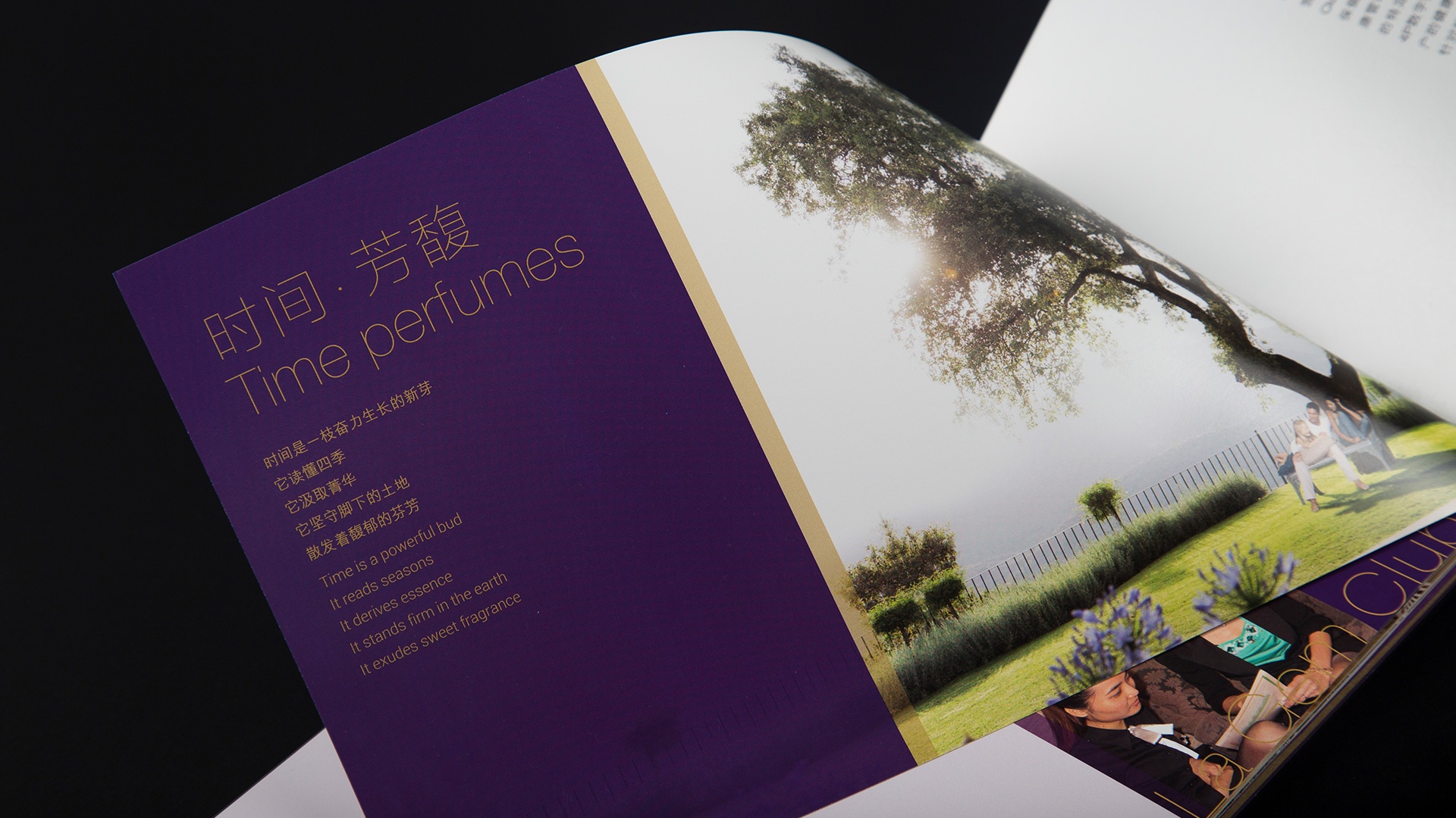 中航健身_尊悅薈_期刊設(shè)計.jpg 中航健身_尊悅薈_期刊設(shè)計.jpg